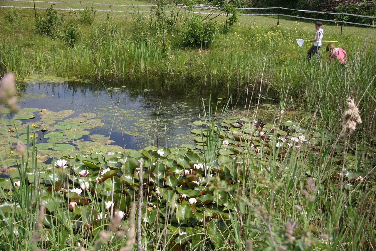 B&B De Oude Molensteen Eelde-Paterswolde Exteriör bild